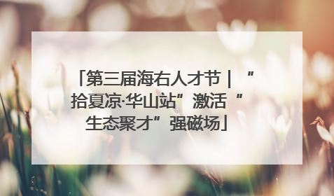 第三届海右人才节｜“拾夏凉·华山站”激活“生态聚才”强磁场
